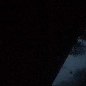 Meet your Posher, Charlie